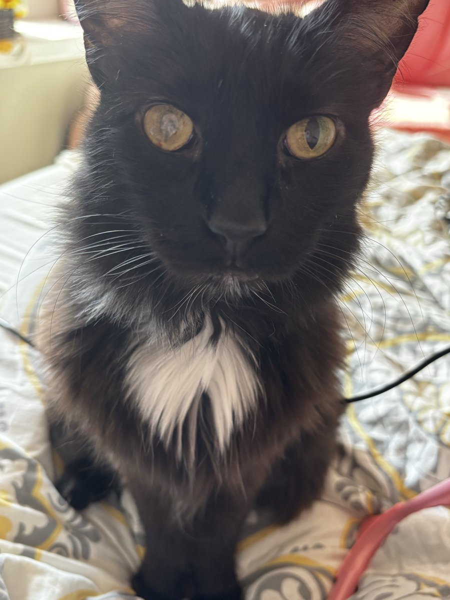 Im going back home on the 27th; this is the longest I have ever been away from my boi 😭 I miss my milly