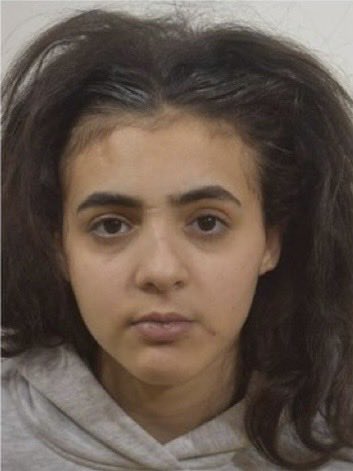 Wolf 🐺 tweet media