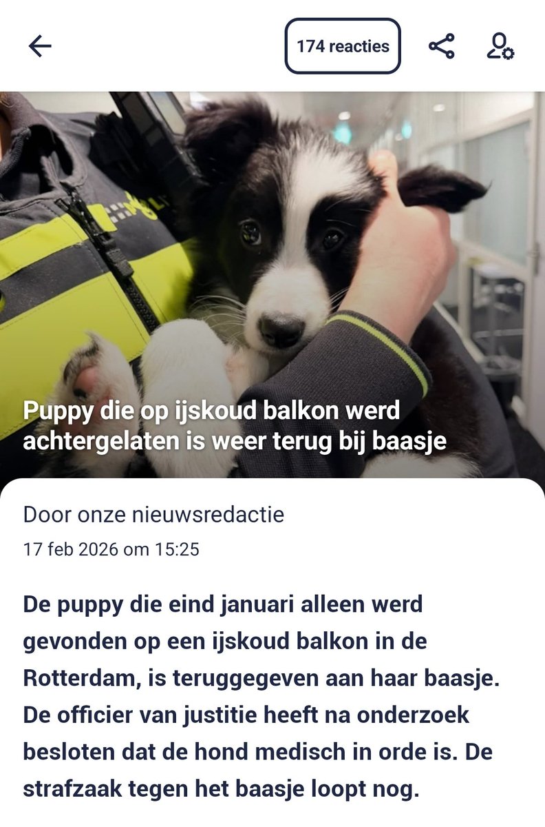 Mijn hart breekt voor dit schatje 💔

Deze eigenaar is geen dier waardig!