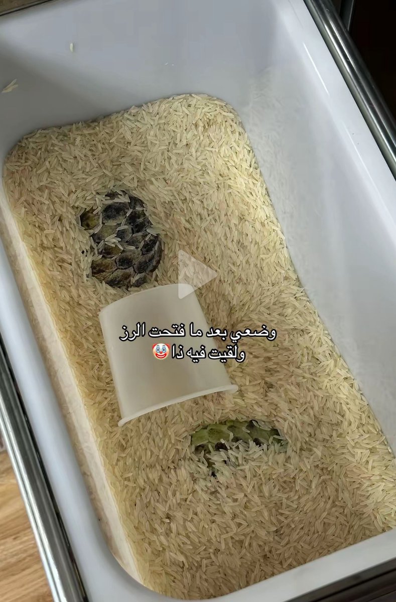 عادل tweet media