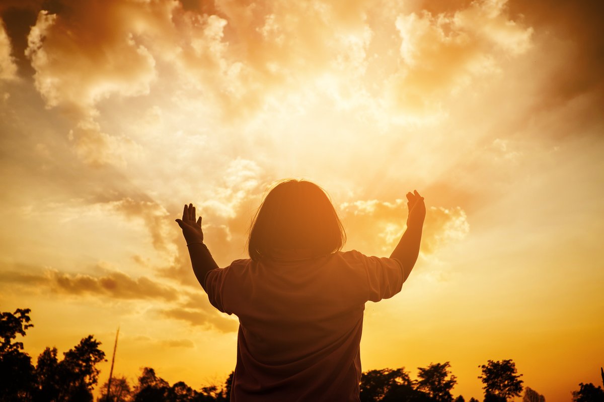 Rumi Forum tweet media