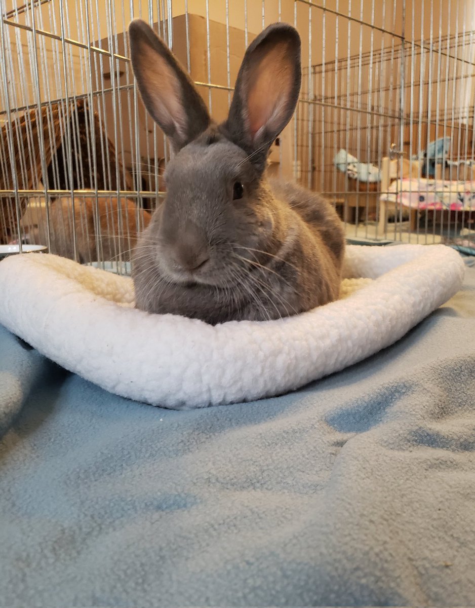 Tranquility Trail tweet media