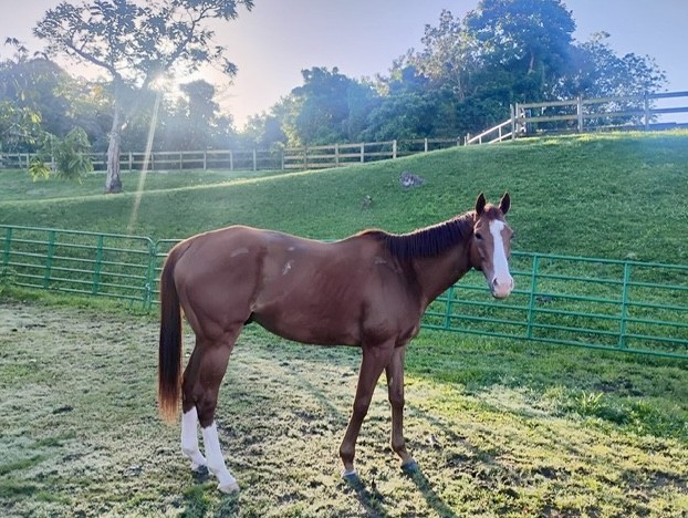 AftertheFinishLine tweet media