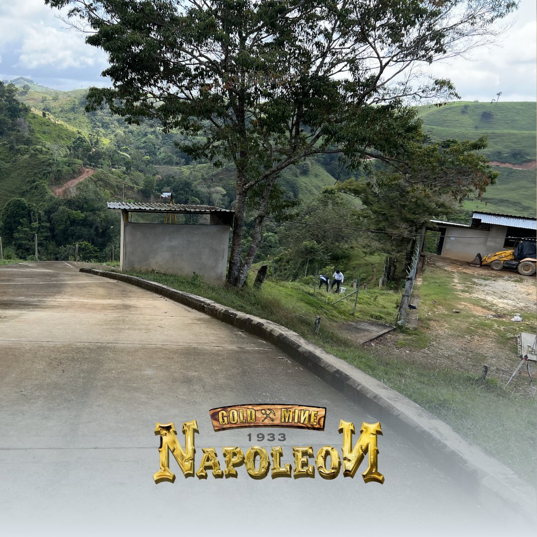 Napoleon Gold Mine tweet media