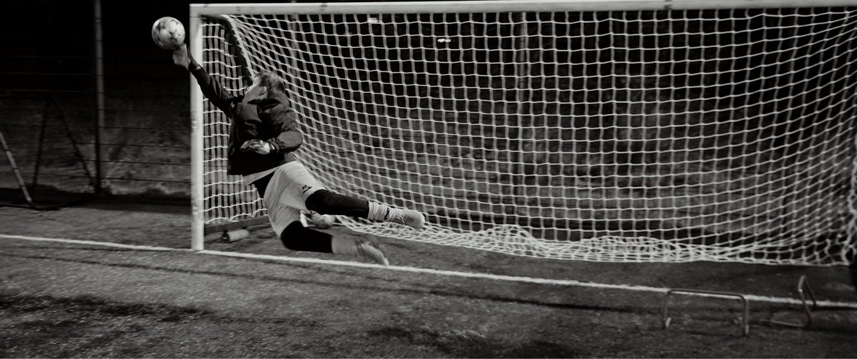 Pro Performance Goalkeeping tweet media