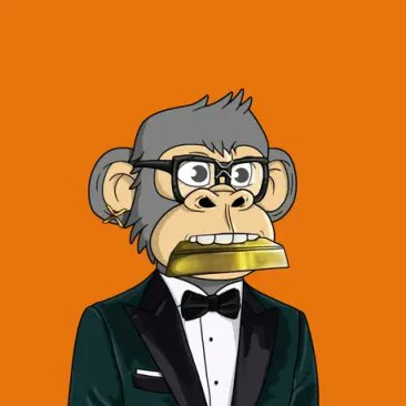 Every delay has a lesson, every season has a reason—and every rank is a warning.

Your <a href="/moneymindedapes/">Money Minded Apes</a> OG / TGA / Ladies / Pixel / Mutants bag shows exactly where you sit when the chain picks up speed.

Check it. Flex it. Adjust it.
ranks.mmaxrp.com

#MMARanks #MMARules