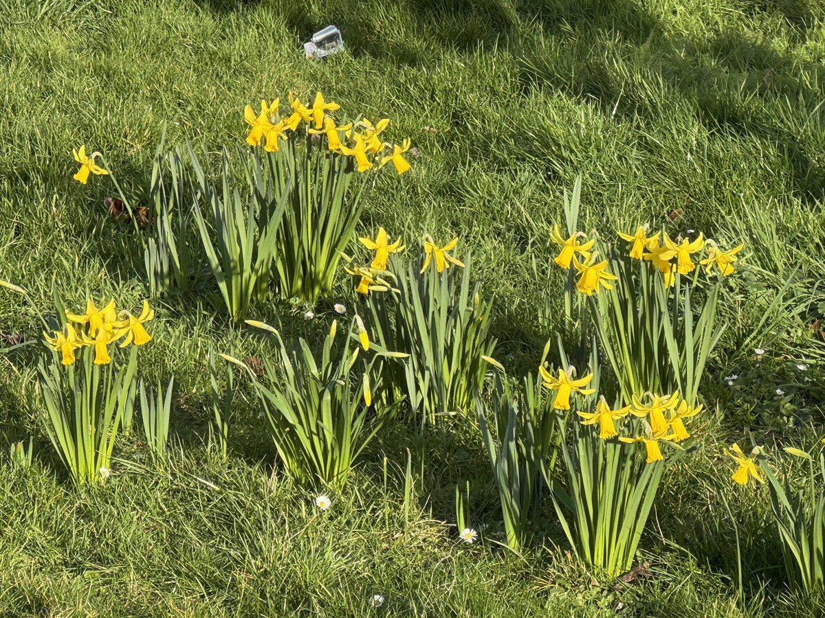 Tikibzh 📸👮‍♀️🧑‍🚒👨‍⚖️🏅 tweet media