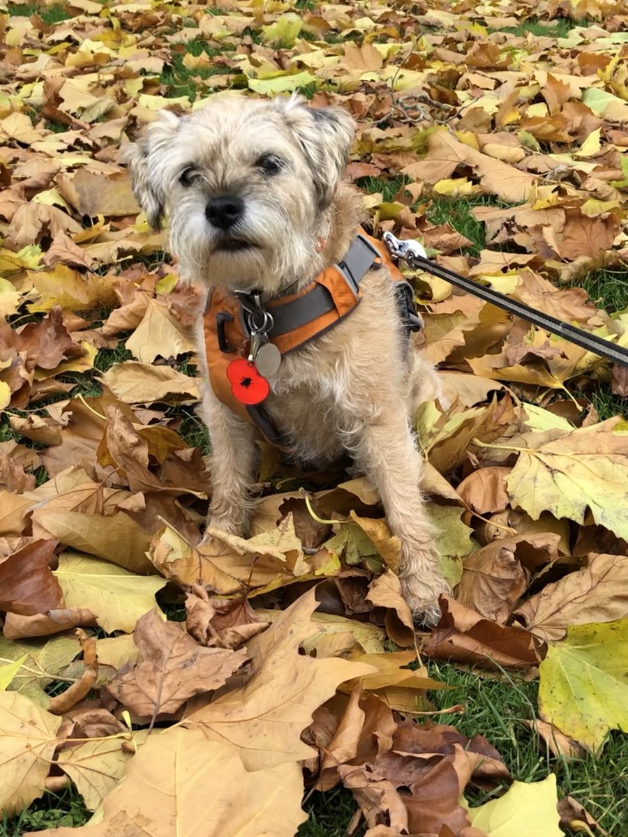 Aston&Molly(CJ&LennyBTs🌈) tweet media