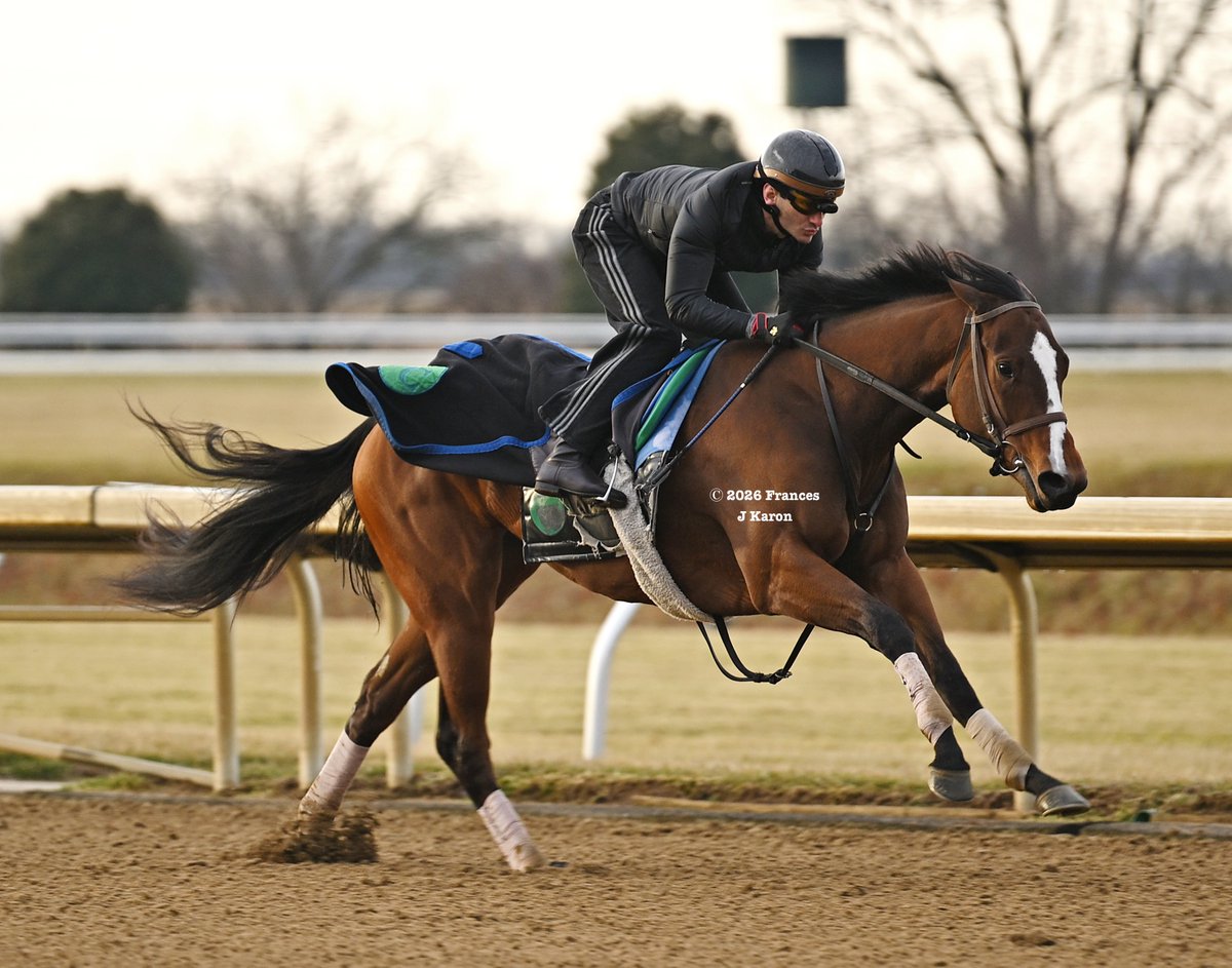 Frances J Karon tweet media