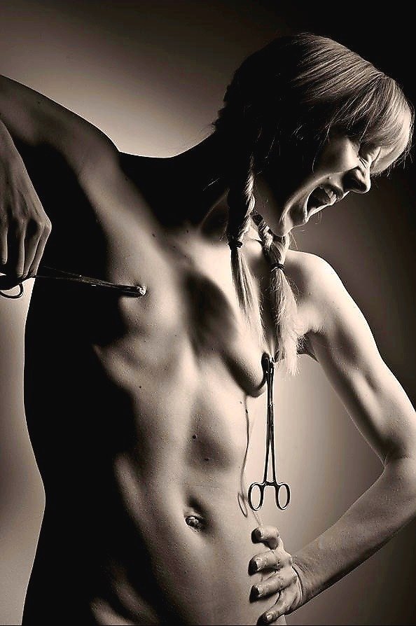 SIGNORE FOREST (@signoreforest) on Twitter photo 