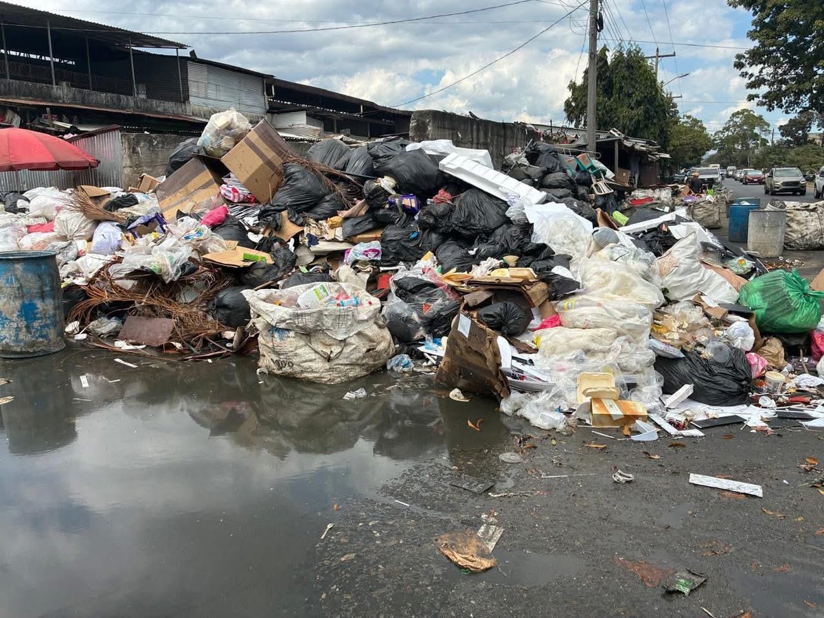 Rodolfo Pastor de Maria y Campos tweet media