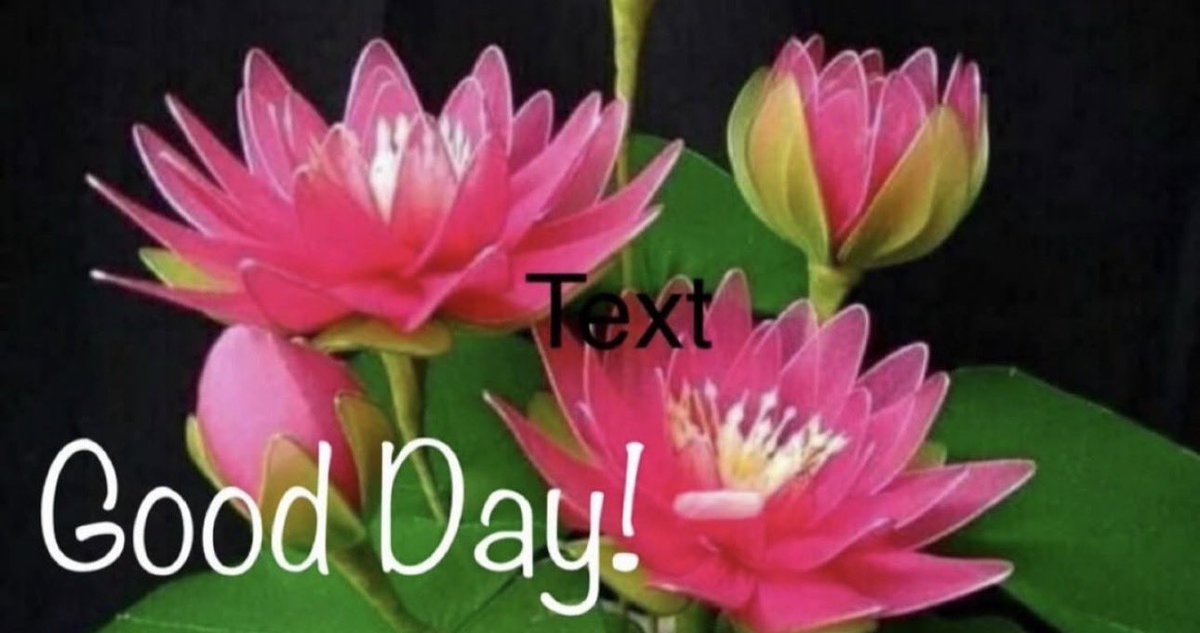 Have A Terrific Tuesday!