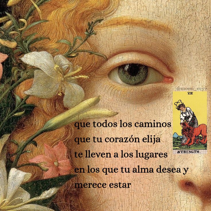 Moon eye ☾ tarot tweet media