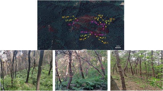JPlantEcol's tweet photo. ๐ฅLow- and high-severity fires โก๏ธ #SoilMicrobialDiversity & #Co_occurrenceNetworks
Results:
1๏ธโฃ Fire severity had no impact on microbial ฮฑ-diversity.
2๏ธโฃ Low-severity fire restructured #BacterialAssociations, whereas high-severity fire disrupted it.
https://t.co/bb61MXNQbW https://t.co/aInxOhgsyz