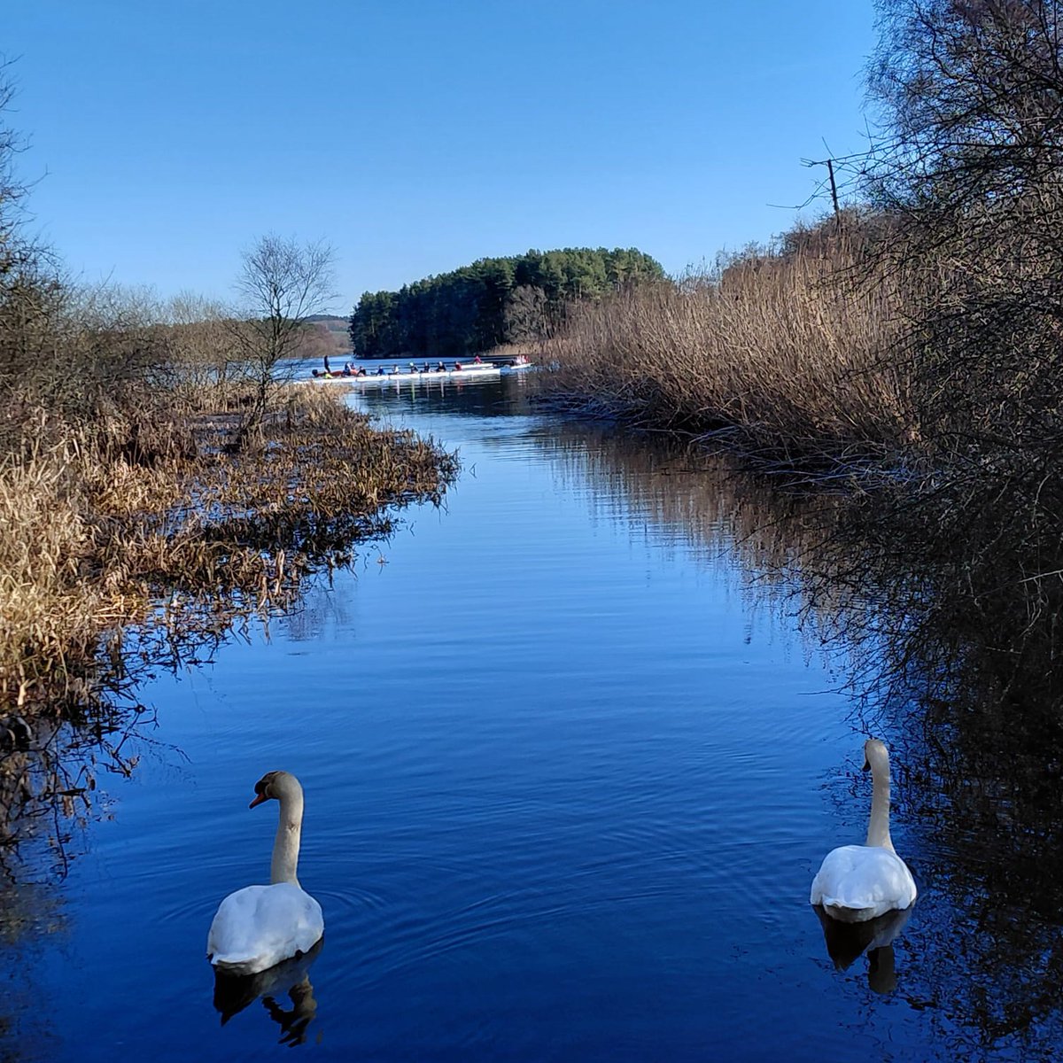 Highland Reserve Forces' and Cadets' Association tweet media