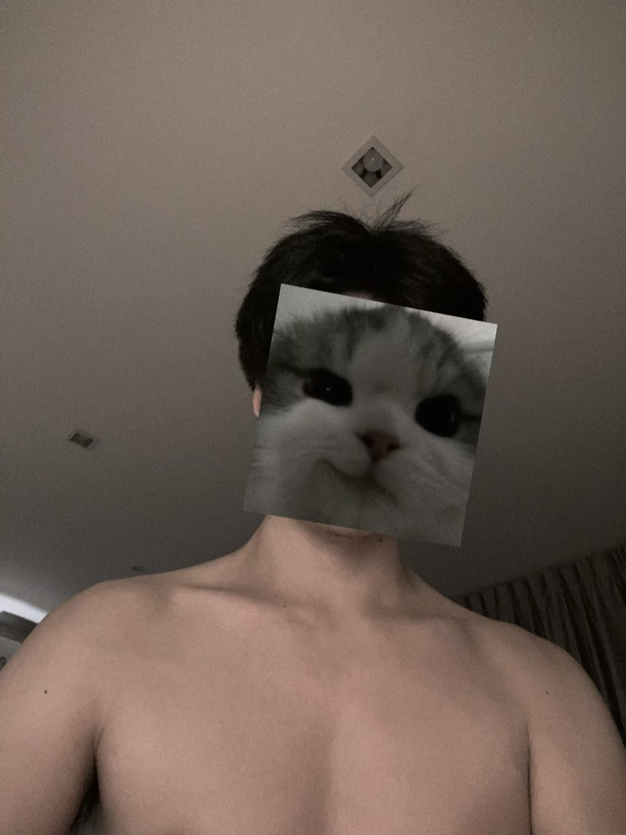 ที่ห้องมีแมวยังครับ🐱