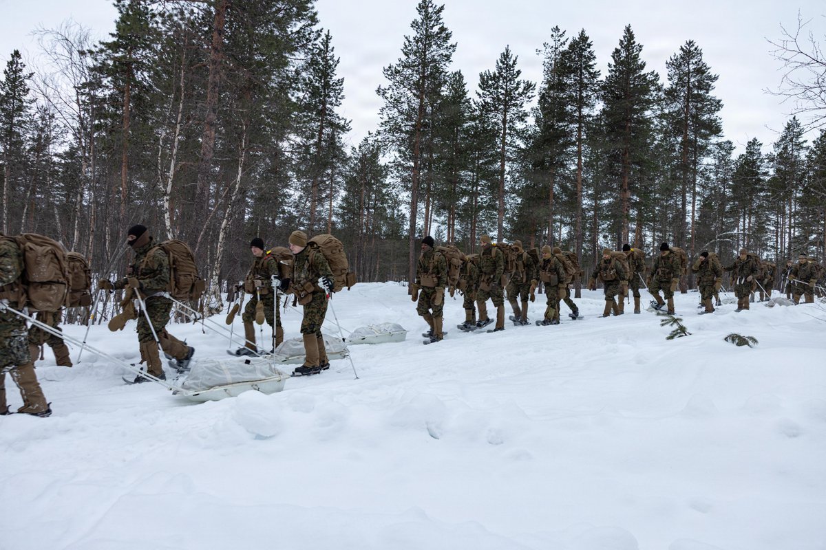 Marines with 2nd Battalion, 6th Marine Regiment, <a href="/2dMarDiv/">2d Marine Division</a>, participate in a cold-weather troop movement during Exercise Cold Response 26 in Setermoen, Norway.

Exercise Cold Response 26 is a Norwegian-led winter military exercise designed to enhance collective defense