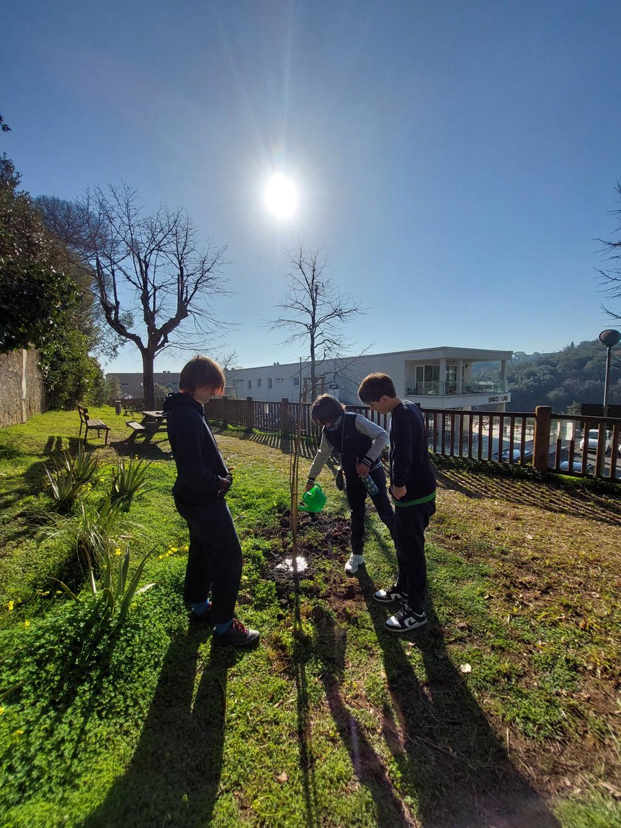 RIS Rome International School tweet media