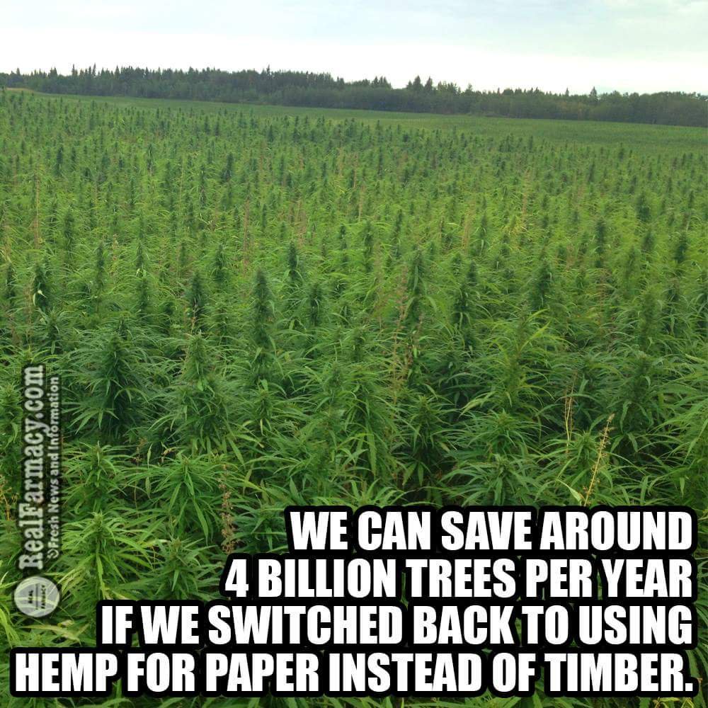 healthbot (@thehealthb0t) on Twitter photo 