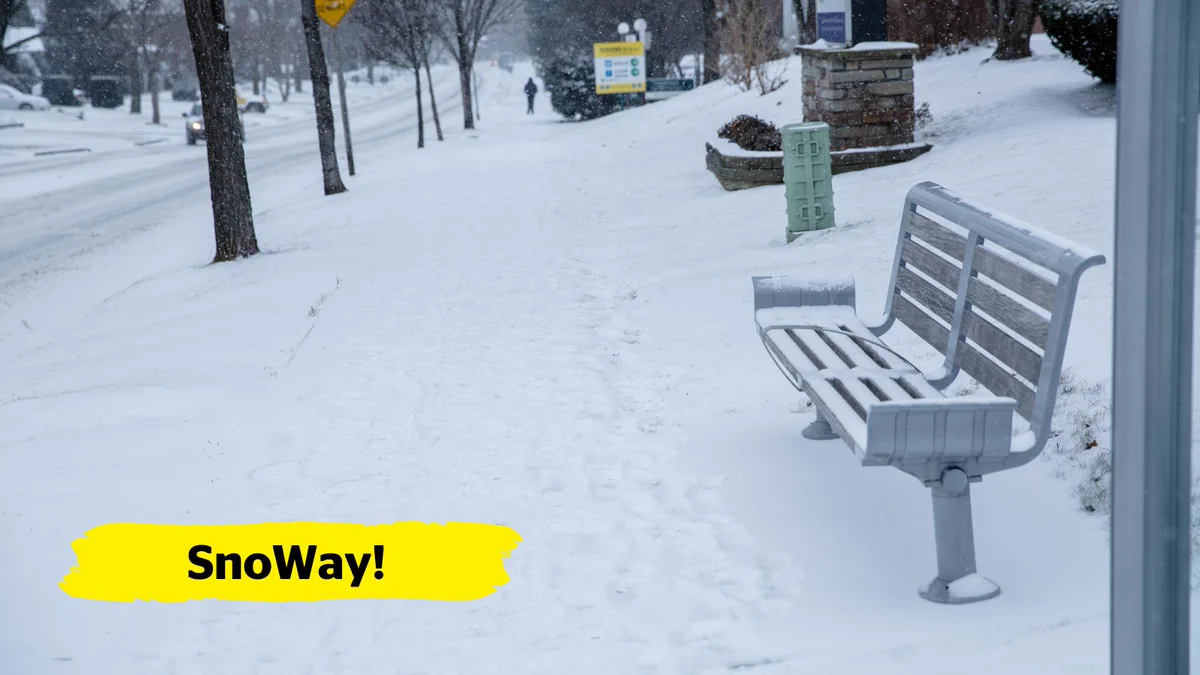 A snowy outdoor scene in a residential neighbourhood. A metal bus bench covered in snow sits on the right side of the sidewalk. The ground is blanketed with snow, and there are footprints visible on the sidewalk.  In the background, a person walks away. In the bottom left-hand corner of the image, there is a yellow banner overlay with the text “SnoWay!”