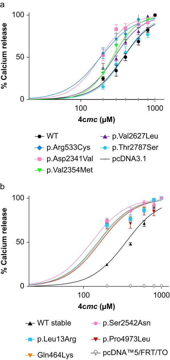 BJAJournals's tweet photo. Using #functionalanalysis, Schiemann et al. found additional #RYR1 disease-associated variants that can be used diagnostically for #malignanthyperthermia sensitivity by DNA sequencing
https://t.co/AqpCckiwc5 https://t.co/pnuH5e6Ut3