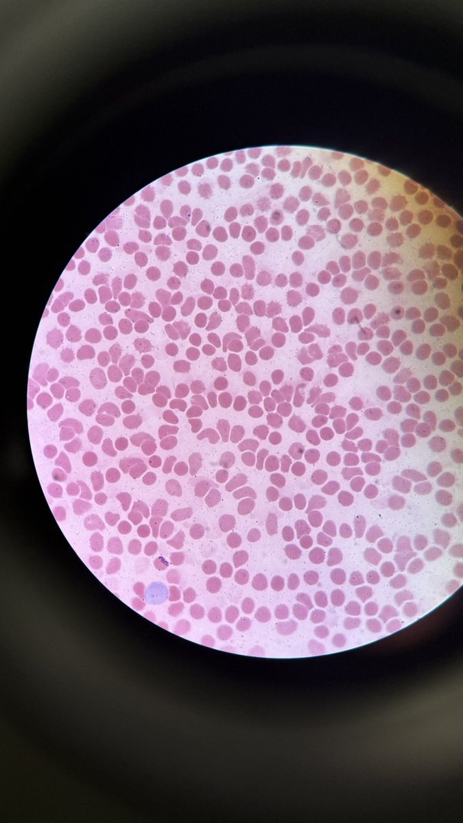 Fay ⊹ ࣪ ˖ tweet media