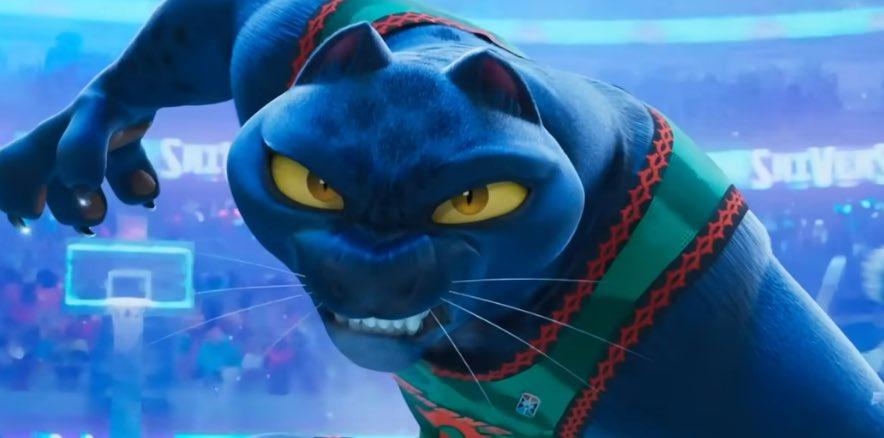 Daily Kitty Kat tweet media