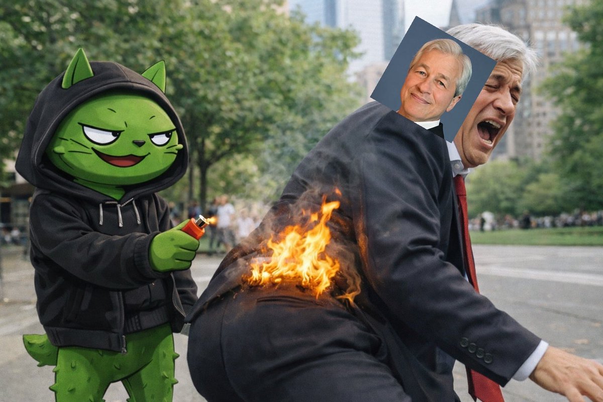 Pickle Cat tweet media