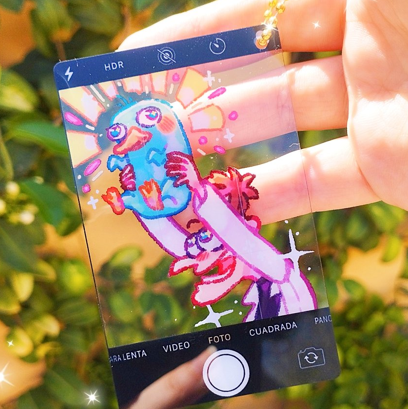 it's a platypus! 🧡✨