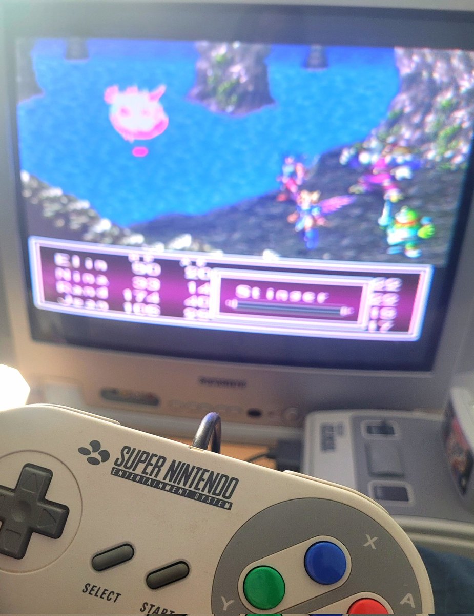 elin ✿ tweet media