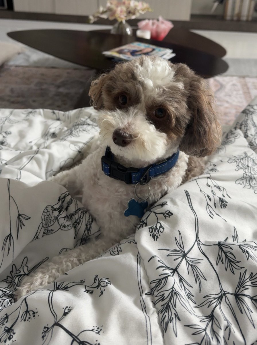 💙Good Morning from Scotty ! 💙 Can’t wait to see you all today at 1pm est for viewer games !💙