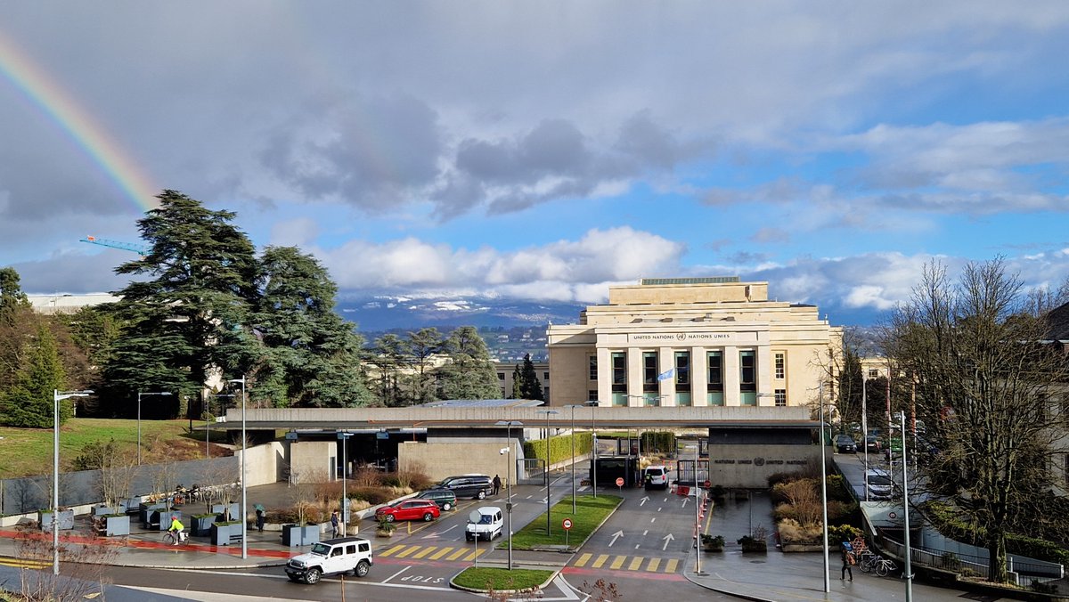 Viet Tan tweet media