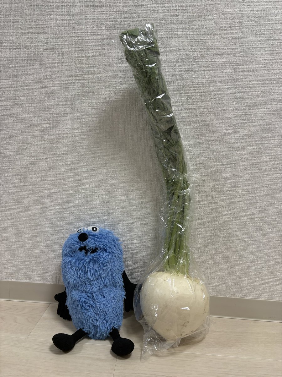 dositemodosite's tweet photo. でっかい　蕪で〜す　買っちゃったよ https://t.co/Ax6tEKJ5qg