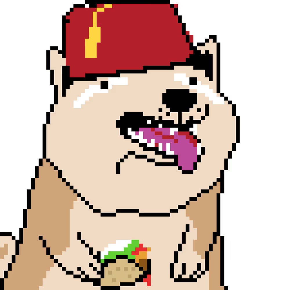 happy tuesday fam 🌮