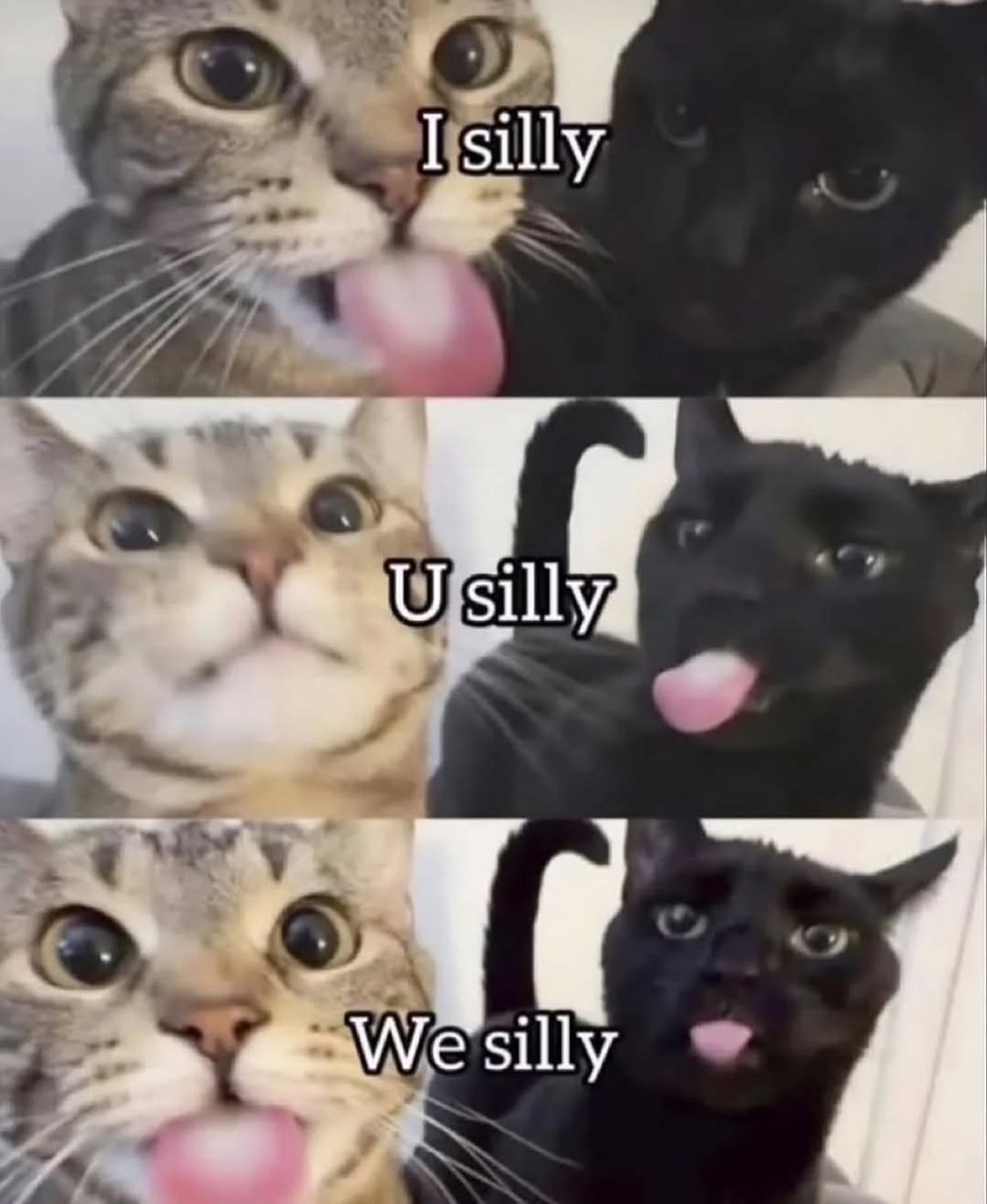 We don't deserve cats 😺 (@catsareblessing) on Twitter photo 