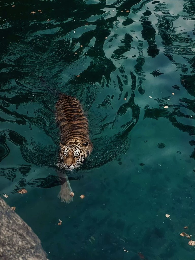 Astro June (@astrojune_) on Twitter photo 