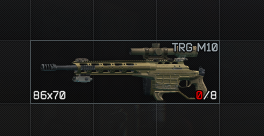 タルコフで一番危険な拳銃(?)を手に入れた