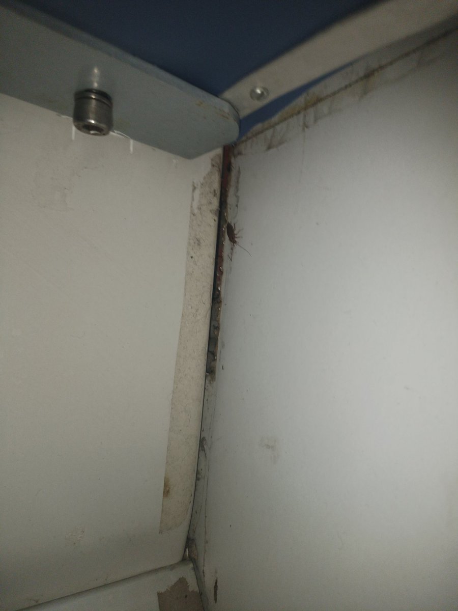 atharraghib1's tweet photo. Trains me Travel Karna esa ho gaya hai jaise musibat ko dawat dena, ab yahi dekhlo jis train se me travel kar Raha hun uski seats me ghuse yeh Insects kisi ko bhi nuqsan pahucha sakte hen. Sawal yeh hai kiya trains ke Coaches ki andar se Safayi hoti hai?
@RailMinIndia @WesternRly https://t.co/X4X39wsw7U