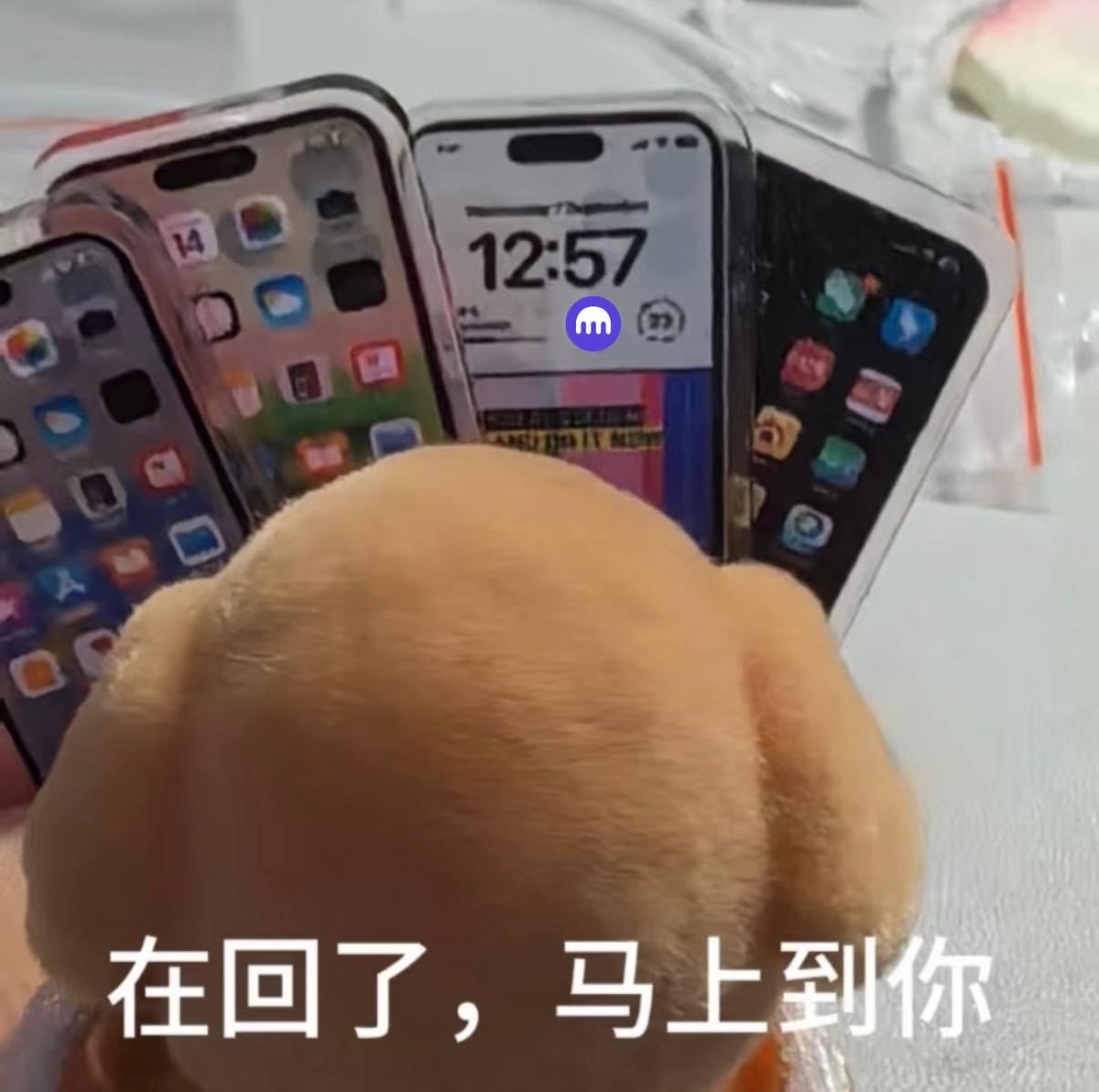 大家的私信留言我们正在一个个回覆中
，有客服问题的朋友请耐心等我们一下🫡

如果已经提交过客服工单，私信时可以附上工单号，处理速度会更快喔！