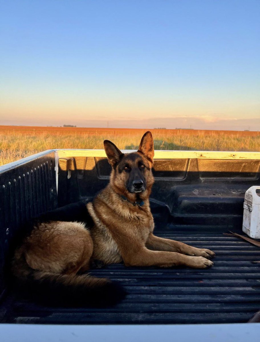 PERDIDO
Se le largo de la camioneta hoy a la mañana de Tres  Marias a Bunge o Benito Juárez si alguien la ve a me avise gracias 

Rt 🙏🏻