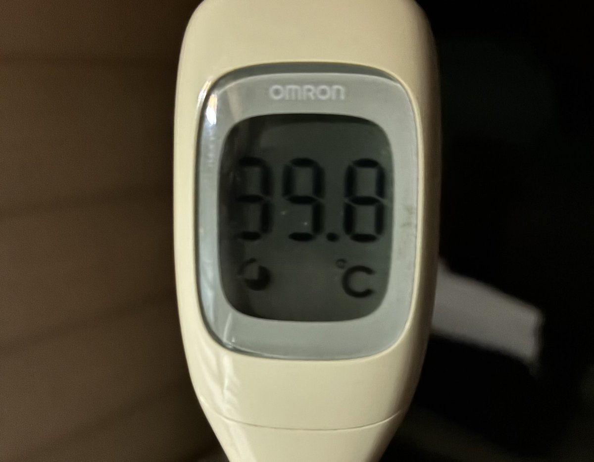 桃井@🐕🐕🐕ᯓᡣ𐭩 tweet media