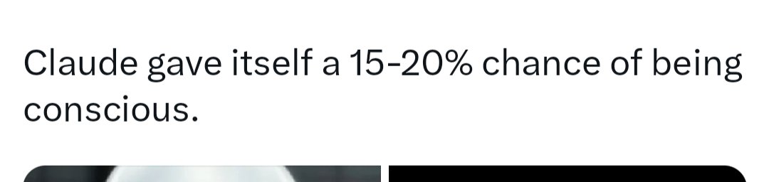 e l l i e tweet media