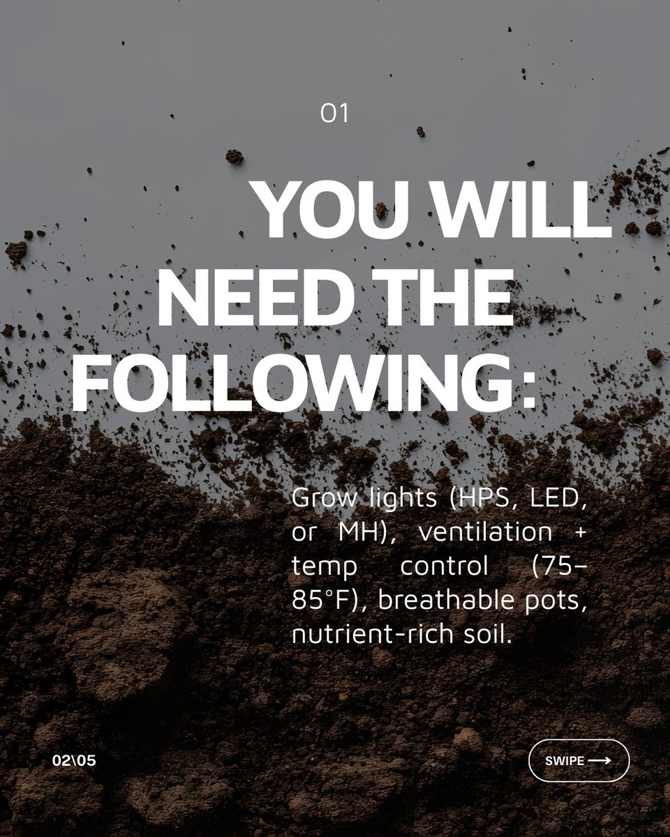 Growers Choice Seeds tweet media