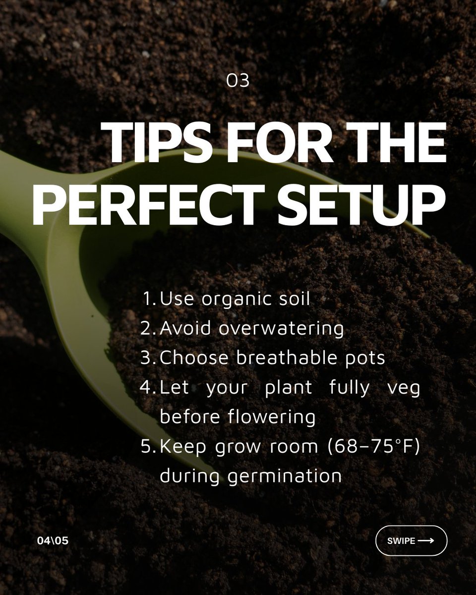 Growers Choice Seeds tweet media