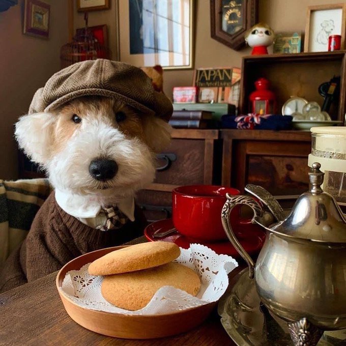 harshwinta's tweet photo. @themindthief https://t.co/nD6OymVAUC