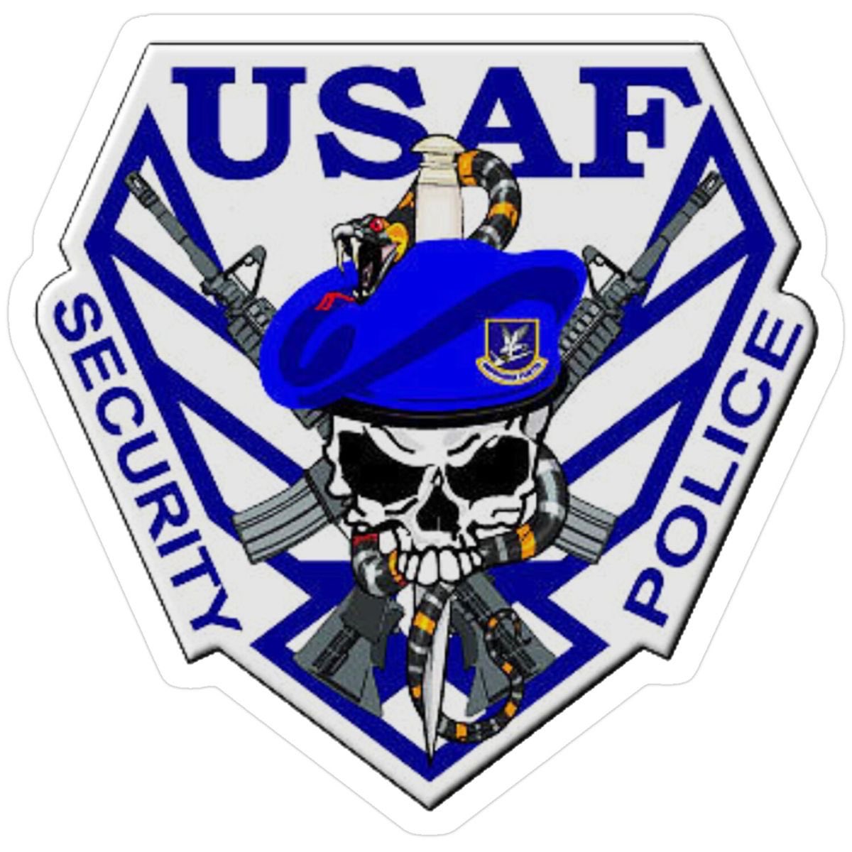 USAF Raven Forces tweet media