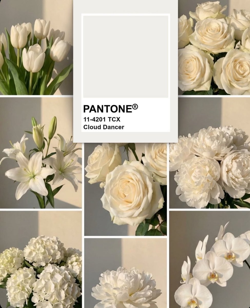 EvaLovesDesign's tweet photo. Color of the year, 2026 https://t.co/lEocZZHVIF