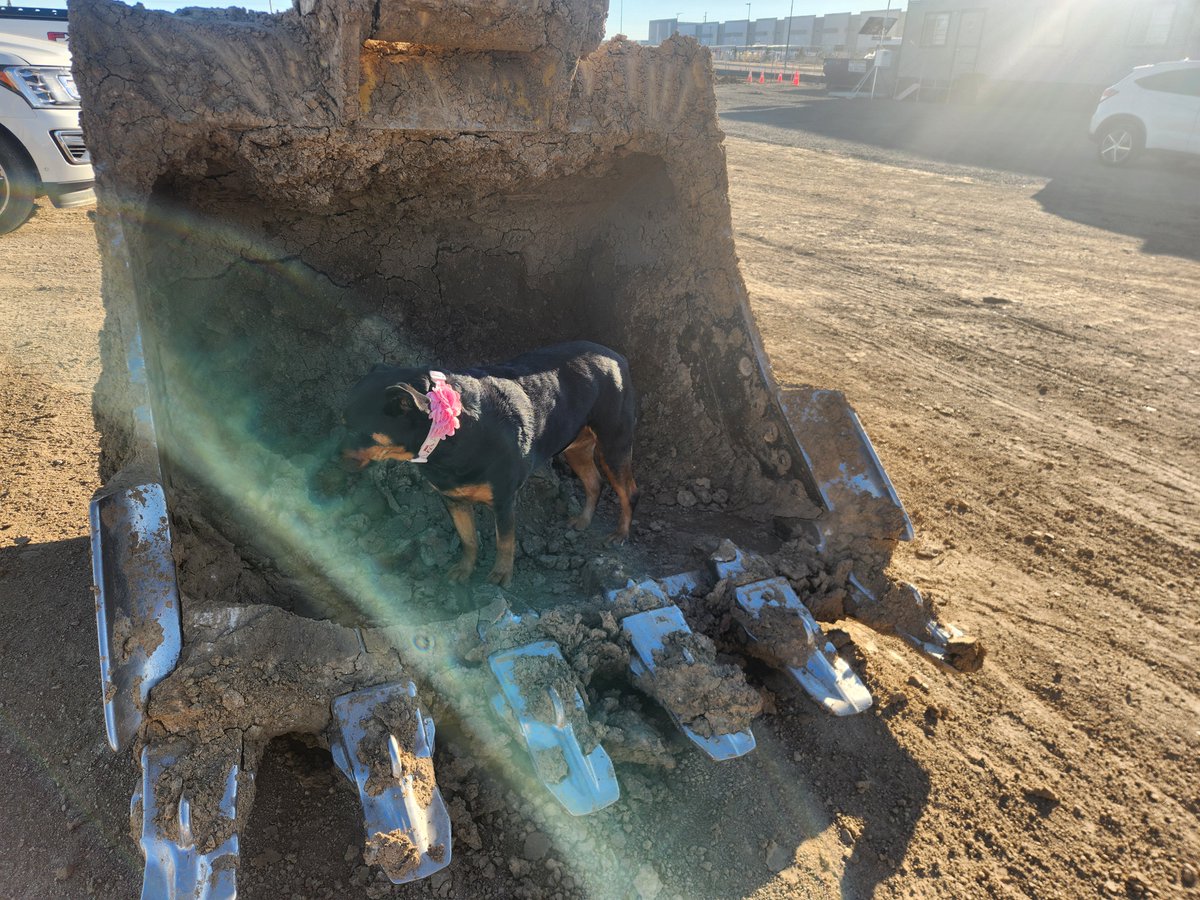 OE Construction tweet media