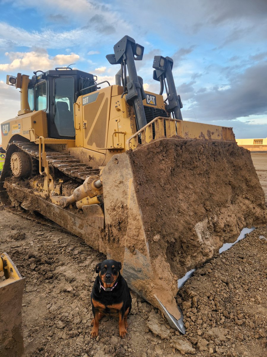 OE Construction tweet media