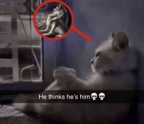 Bleucielle 🇵🇸 (@bleucielle_) on Twitter photo 